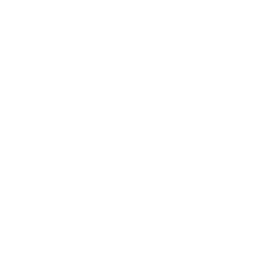 iris lane kingwood texas rock band